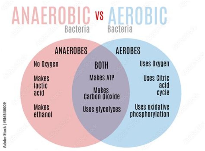 Why is it advantageous for an organism to be facultatively anaerobic?