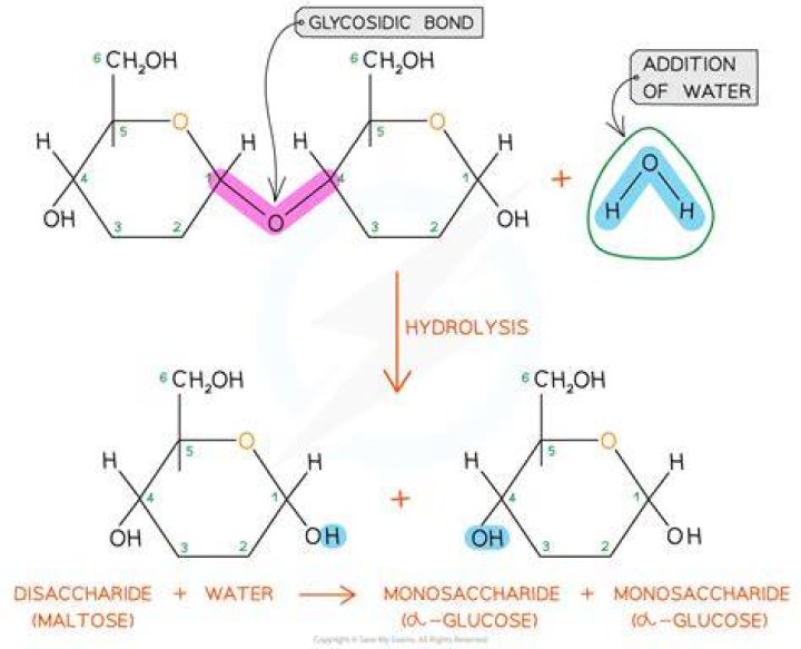 Why monosaccharides are soluble in water?