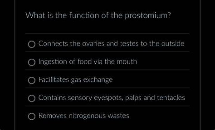Why prostomium is sensory in function?