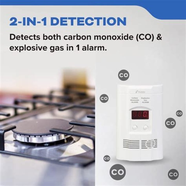 Will a carbon monoxide detector detect propane?