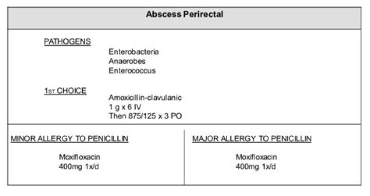 Will amoxicillin treat perianal abscess?
