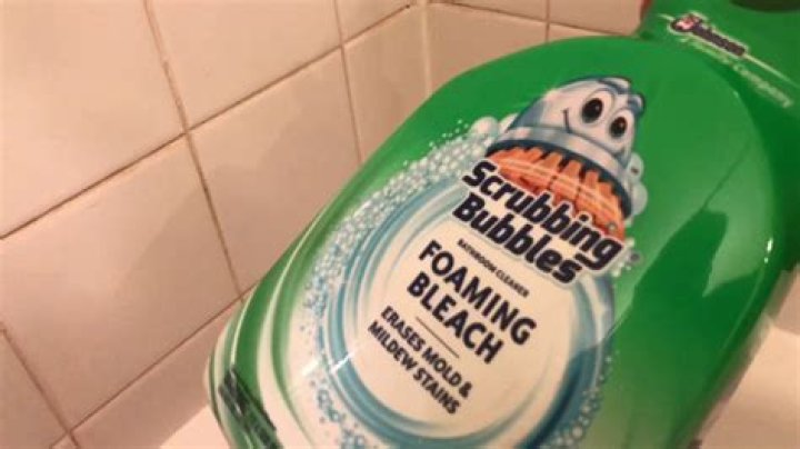 Will scrubbing bubbles kill mold?